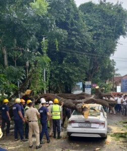 ಮಂಗಳೂರು: ಚಲಿಸುತ್ತಿದ್ದ ಕಾರಿನ ಮೇಲೆ ಬಿದ್ದ ಬೃಹತ್ ಮರ – ಚಾಲಕ ಅಪಾಯದಿಂದ ಪಾರು